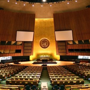 ELFAC dobio savjetodavni status u UN-u